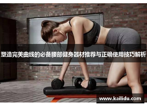 塑造完美曲线的必备腰部健身器材推荐与正确使用技巧解析