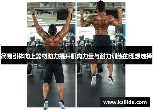简易引体向上器材助力提升肌肉力量与耐力训练的理想选择