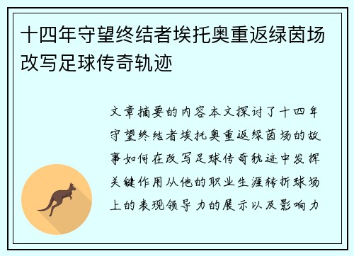 十四年守望终结者埃托奥重返绿茵场改写足球传奇轨迹